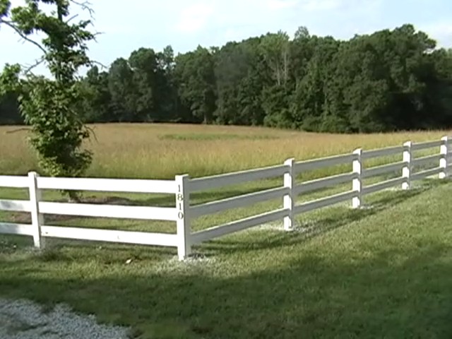 Horse Fence Painting